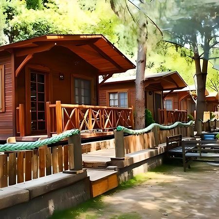 Green House Uzungol Трабзон Экстерьер фото